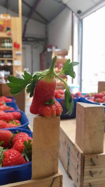 daily picdump 84 pics 1.html - 84 HD Photos | Premium Gallery 2018