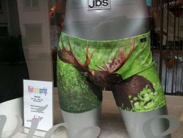 daily picdump 84 pics 1.html - 84 HD Photos | Premium Gallery 2018