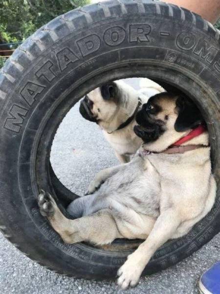 daily picdump 84 pics 1.html - 84 HD Photos | Premium Gallery 2018