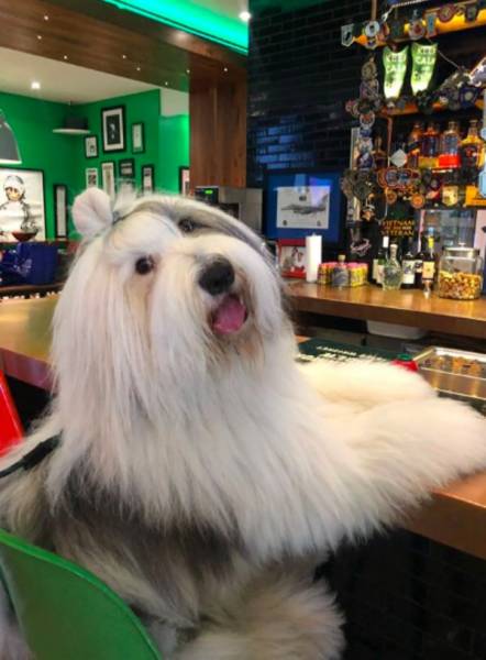 daily picdump 84 pics 1.html - 84 HD Photos | Premium Gallery 2018