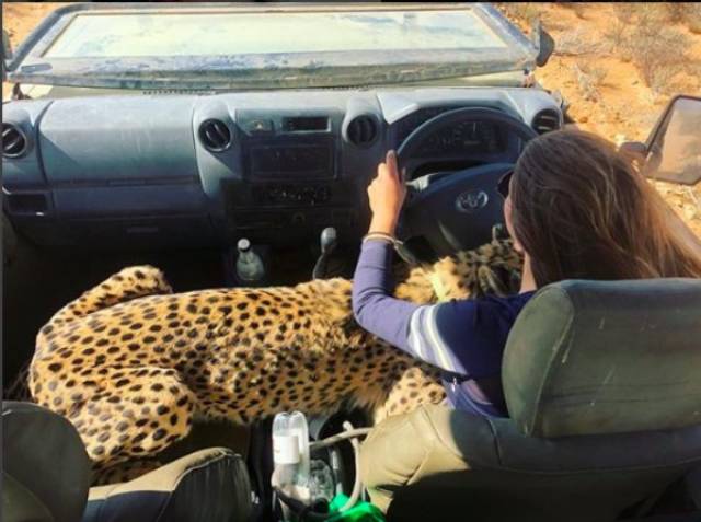 daily picdump 84 pics 1.html - 84 HD Photos | Premium Gallery 2018