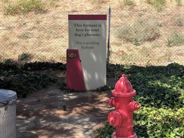 morning picdump 54 pics 1.html - 54 HD Photos | Premium Gallery 2018