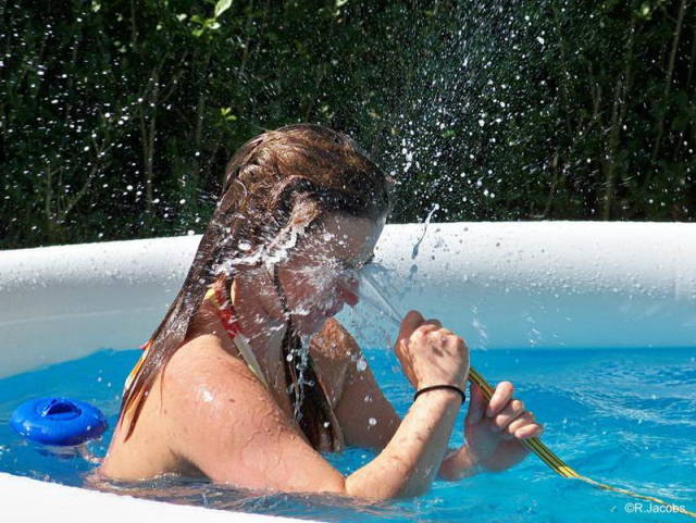 daily picdump 84 pics 40.html - 84 HD Photos | Premium Gallery 2018