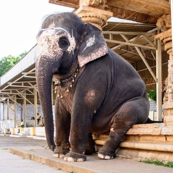 daily picdump 84 pics 40.html - 84 HD Photos | Premium Gallery 2018