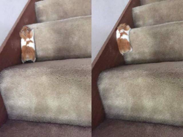 daily picdump 84 pics 40.html - 84 HD Photos | Premium Gallery 2018