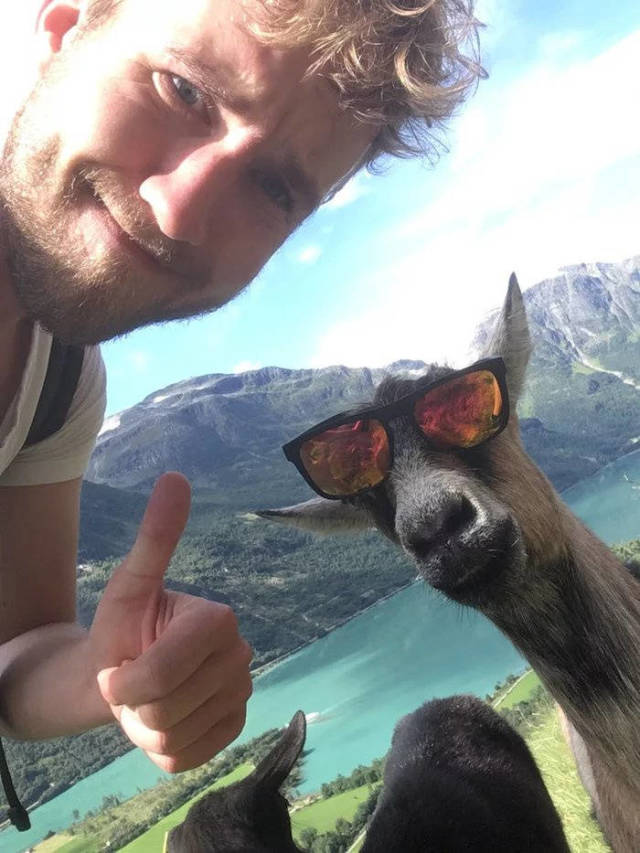 daily picdump 84 pics 40.html - 84 HD Photos | Premium Gallery 2018