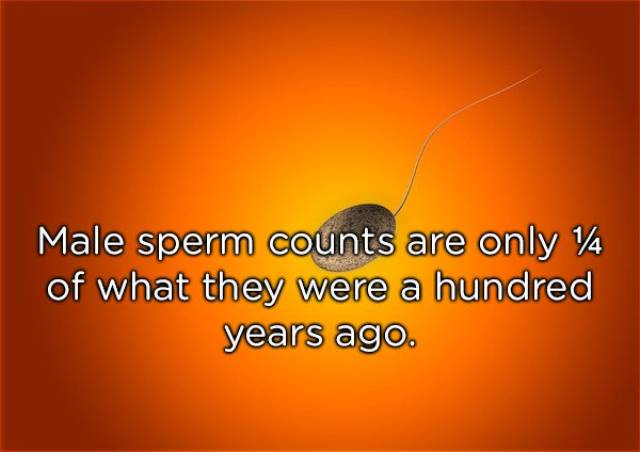 Things About Sex We Really Should Know