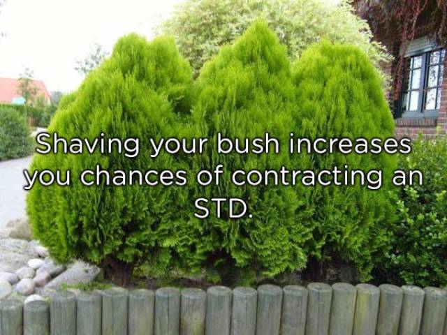 Things About Sex We Really Should Know