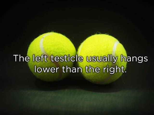 Things About Sex We Really Should Know