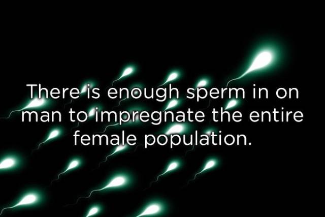 Things About Sex We Really Should Know