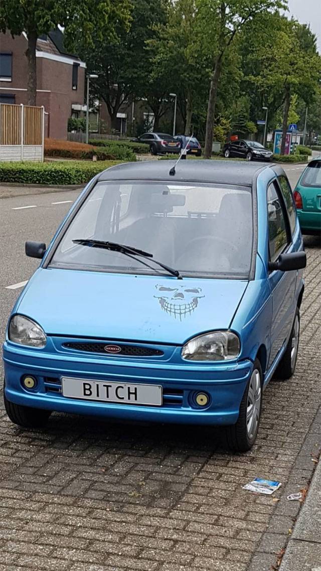 daily picdump 86 pics 29.html - 86 HD Photos | Premium Gallery 2018