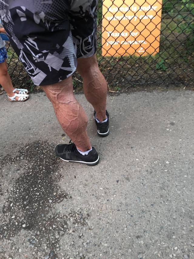 daily picdump 86 pics 29.html - 86 HD Photos | Premium Gallery 2018