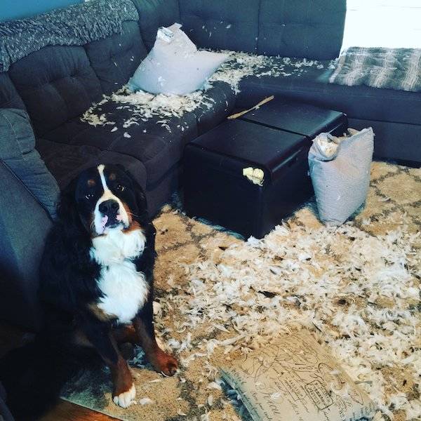 morning picdump 53 pics 43.html - 53 HD Photos | Premium Gallery 2018