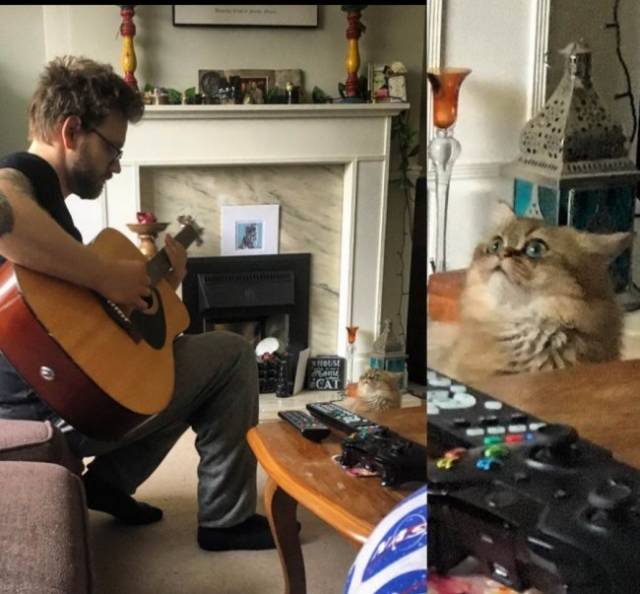 morning picdump 53 pics 43.html - 53 HD Photos | Premium Gallery 2018