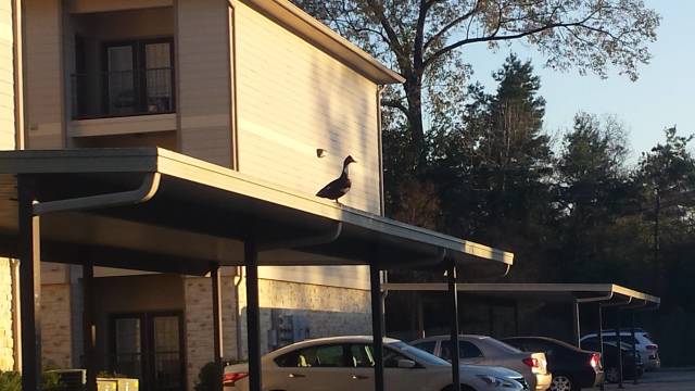 morning picdump 53 pics 20.html - 53 HD Photos | Premium Gallery 2018