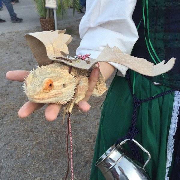 morning picdump 53 pics 20.html - 53 HD Photos | Premium Gallery 2018