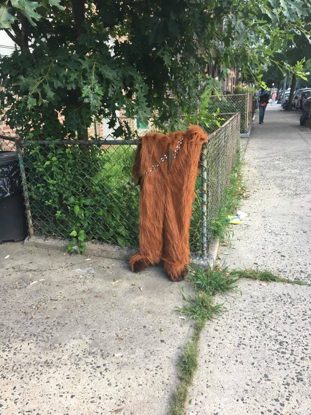 morning picdump 53 pics 20.html - 53 HD Photos | Premium Gallery 2018