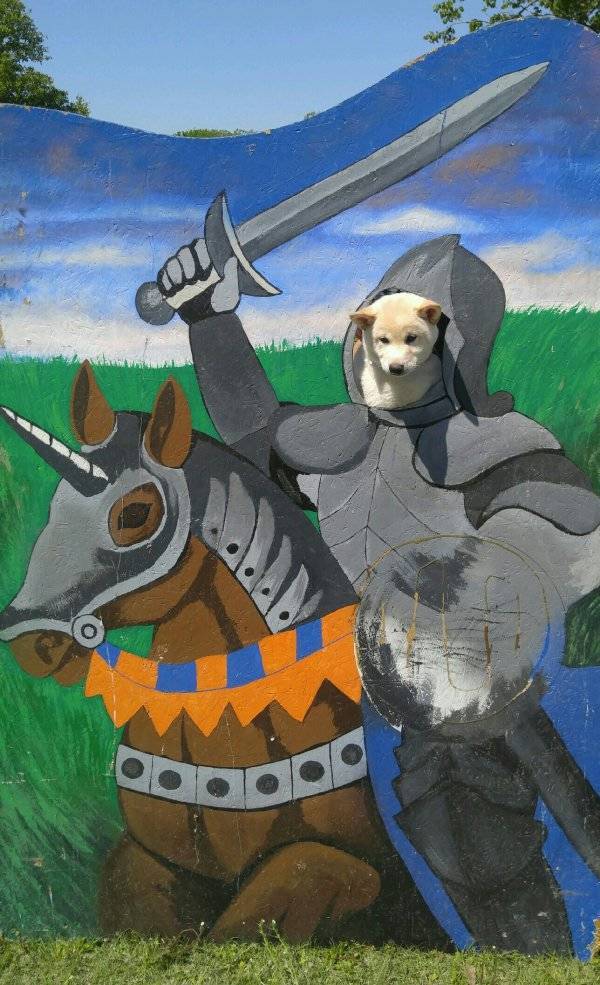 morning picdump 53 pics 20.html - 53 HD Photos | Premium Gallery 2018