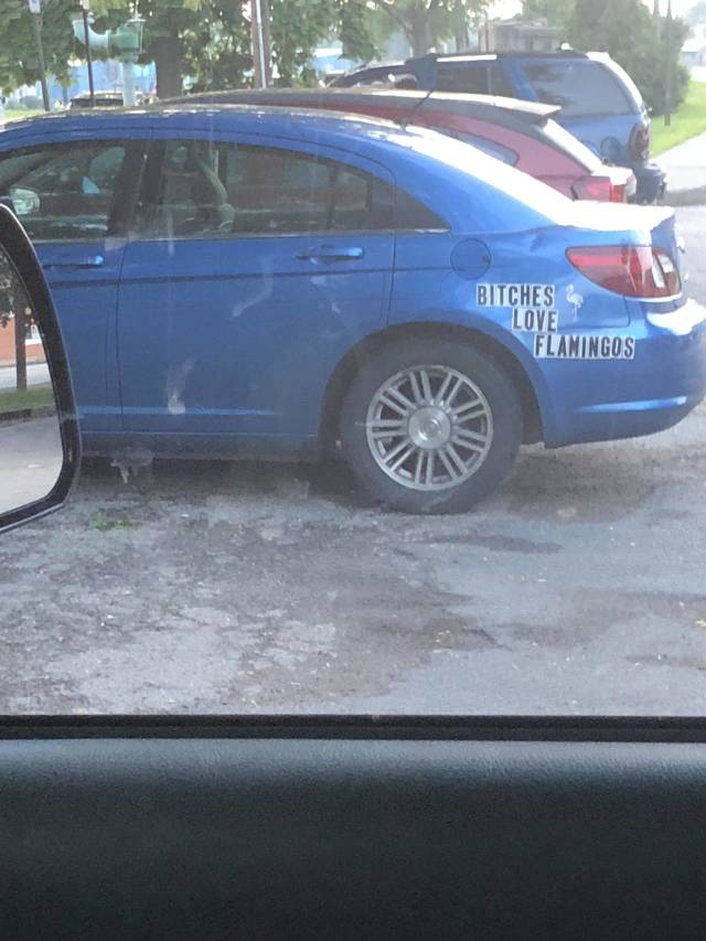 morning picdump 53 pics 20.html - 53 HD Photos | Premium Gallery 2018