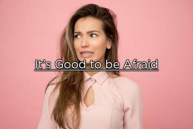 Our Bodies Are No Less Than Impressive!