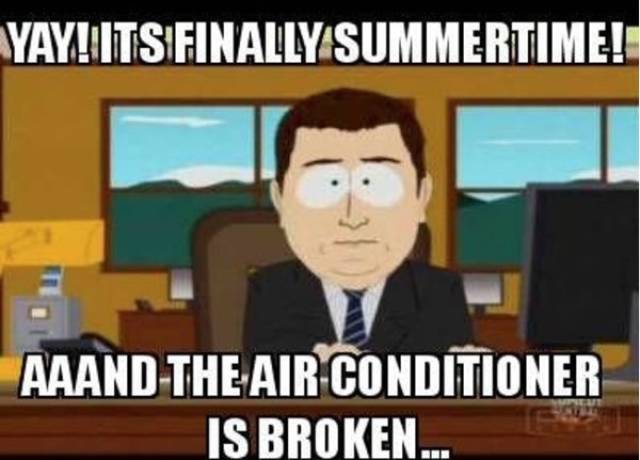 Summer Memes Are Pretty Hot!