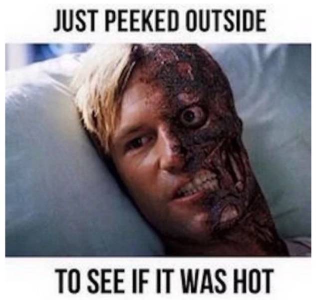 Summer Memes Are Pretty Hot!