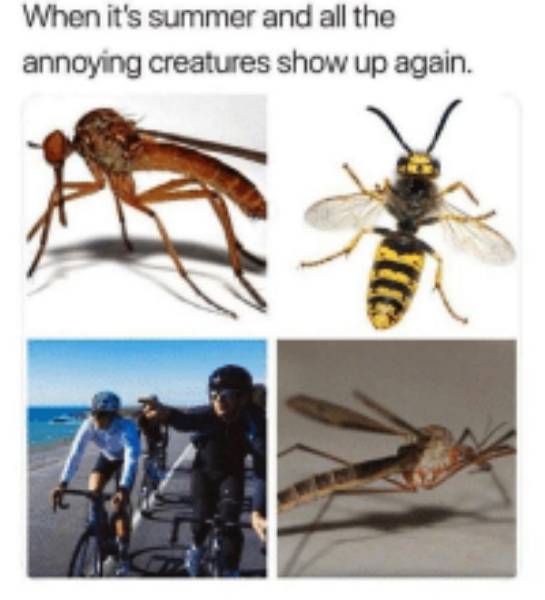 Summer Memes Are Pretty Hot!