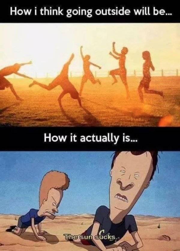 Summer Memes Are Pretty Hot!