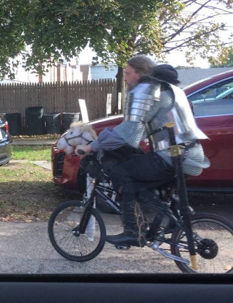 Daily Picdump [WEEKEND EDITION]