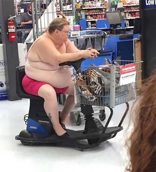 daily picdump weekend edition 55 pics 24.html - 55 HD Photos | Premium Gallery 2018