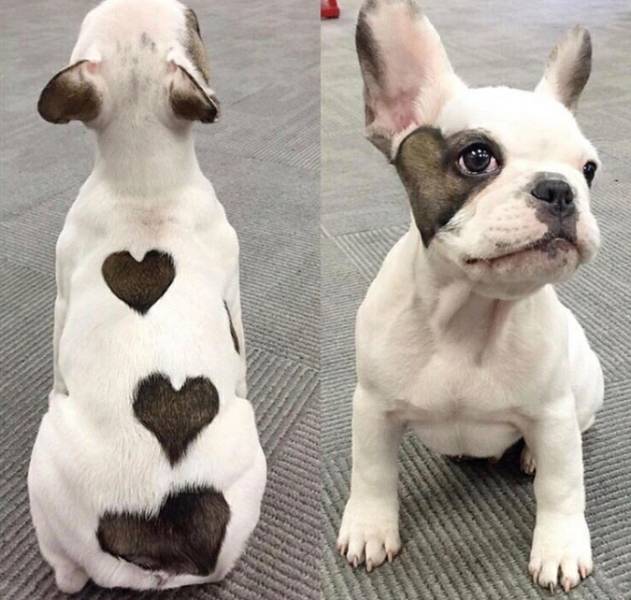 daily picdump weekend edition 55 pics 24.html - 55 HD Photos | Premium Gallery 2018