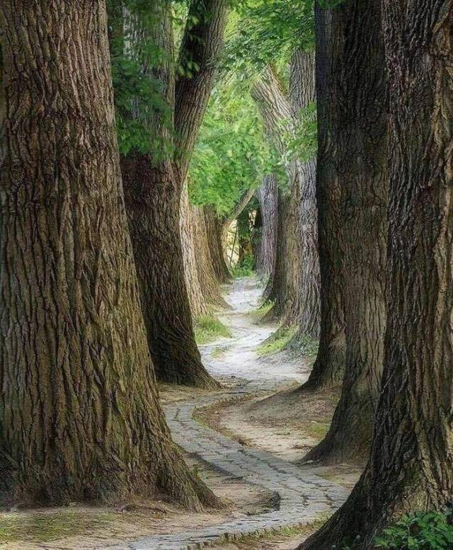 Daily Picdump [WEEKEND EDITION]