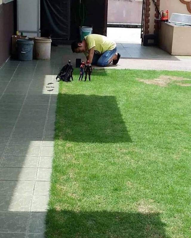 daily picdump weekend edition 55 pics 24.html - 55 HD Photos | Premium Gallery 2018