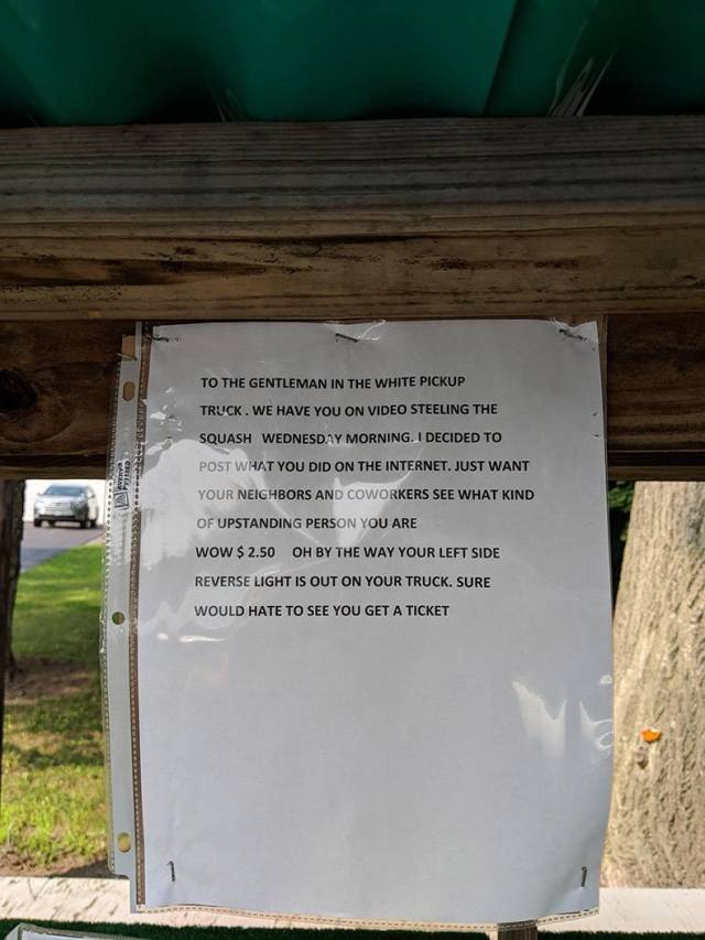 daily picdump weekend edition 55 pics 24.html - 55 HD Photos | Premium Gallery 2018