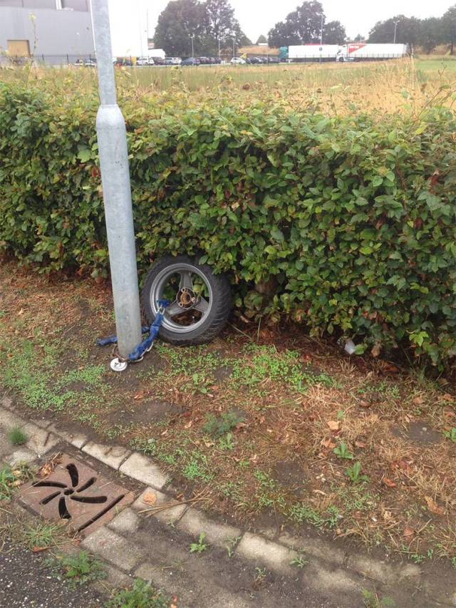 daily picdump weekend edition 55 pics 24.html - 55 HD Photos | Premium Gallery 2018