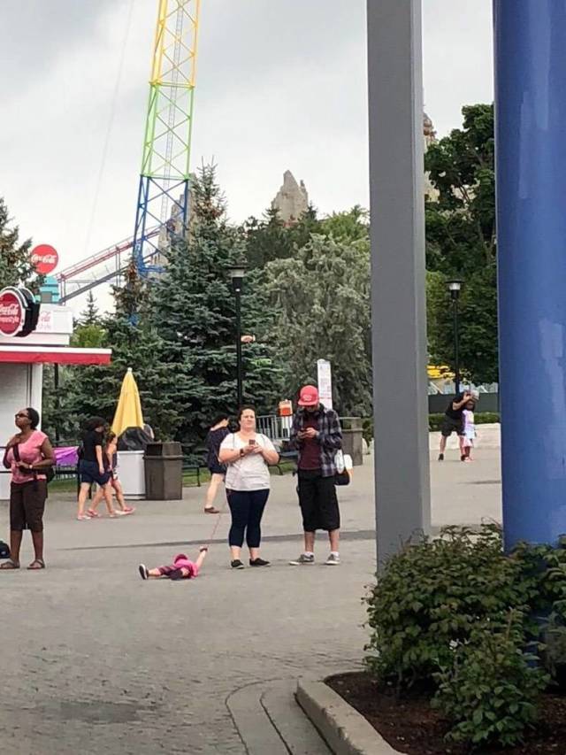 daily picdump weekend edition 55 pics 24.html - 55 HD Photos | Premium Gallery 2018