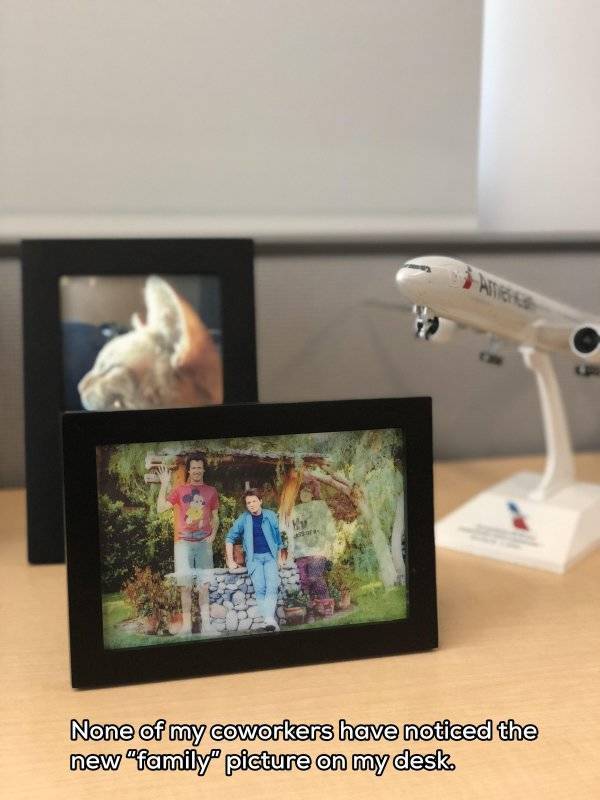 daily picdump weekend edition 55 pics 24.html - 55 HD Photos | Premium Gallery 2018