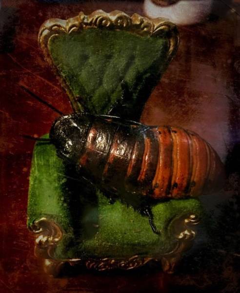 These Creepy Cakes Are Definitely Not For Birthdays!