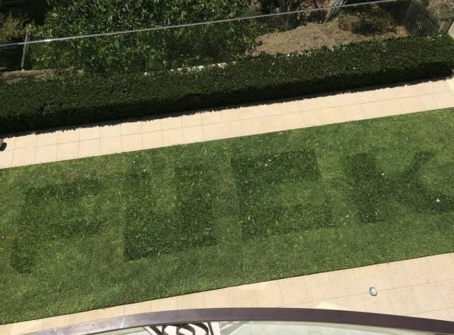 daily picdump 86 pics 22.html - 86 HD Photos | Premium Gallery 2018