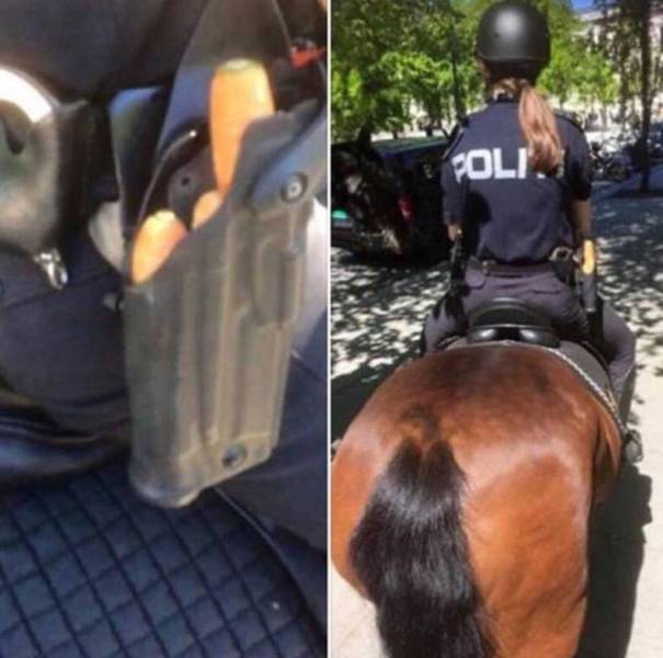 daily picdump 86 pics 22.html - 86 HD Photos | Premium Gallery 2018