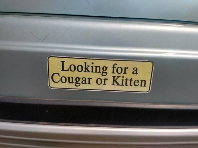 daily picdump 86 pics 22.html - 86 HD Photos | Premium Gallery 2018