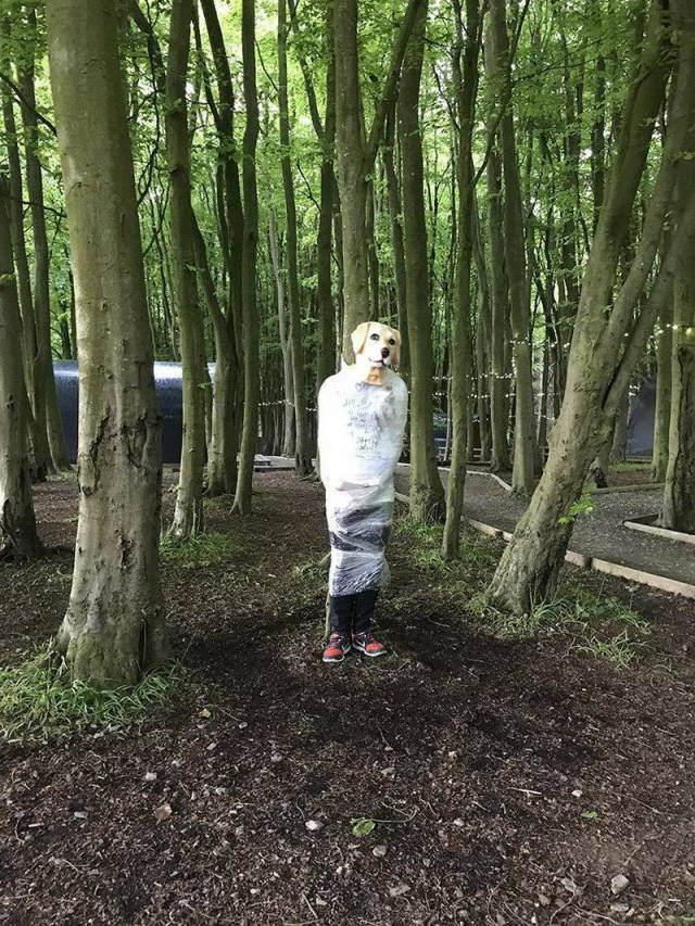 daily picdump 86 pics 22.html - 86 HD Photos | Premium Gallery 2018