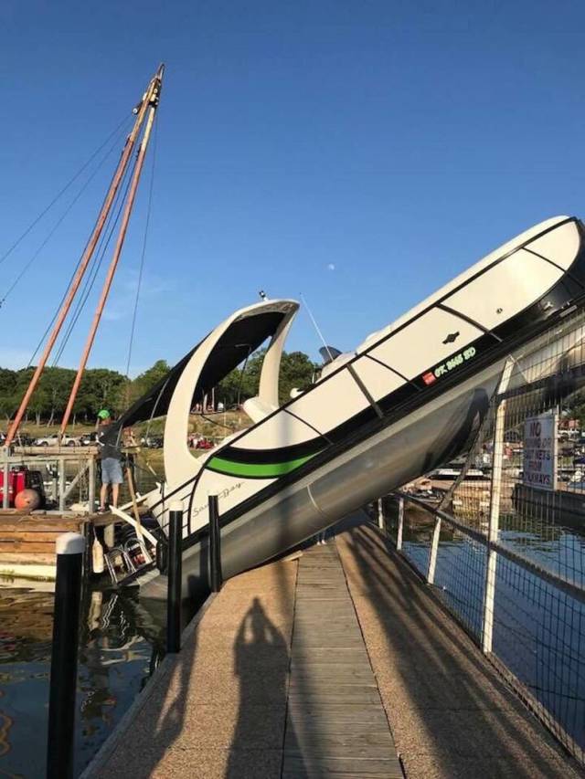 daily picdump 86 pics 22.html - 86 HD Photos | Premium Gallery 2018