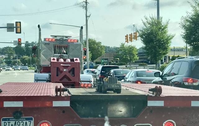 morning picdump 55 pics 10.html - 55 HD Photos | Premium Gallery 2018