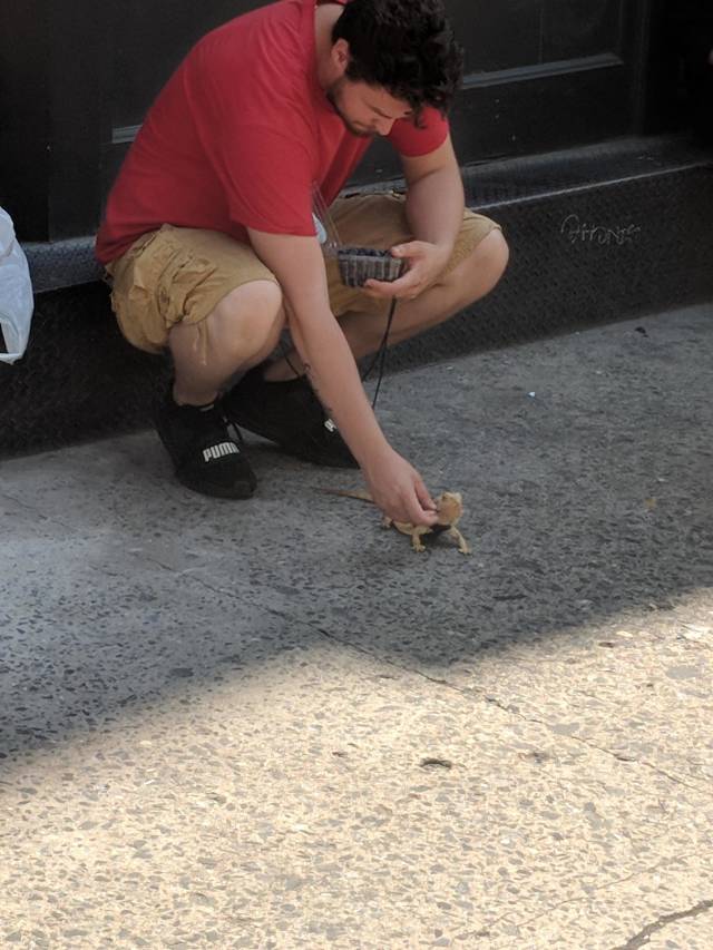 morning picdump 55 pics 10.html - 55 HD Photos | Premium Gallery 2018