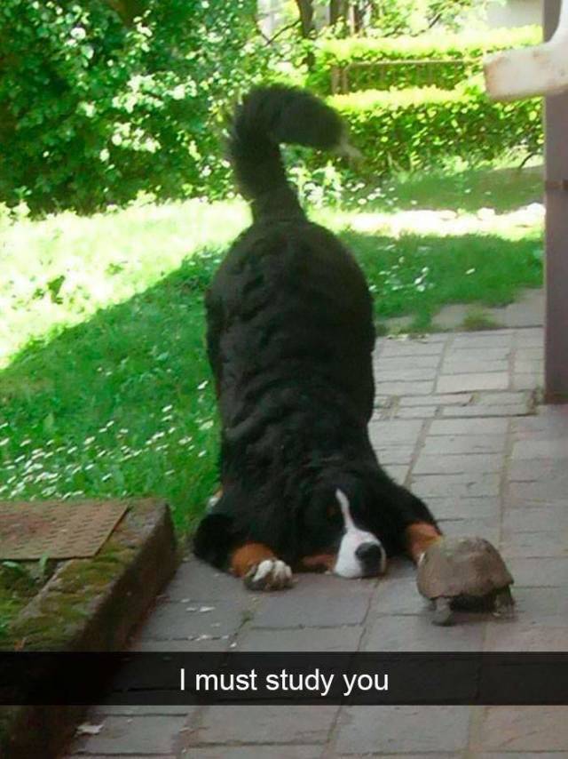 morning picdump 55 pics 10.html - 55 HD Photos | Premium Gallery 2018