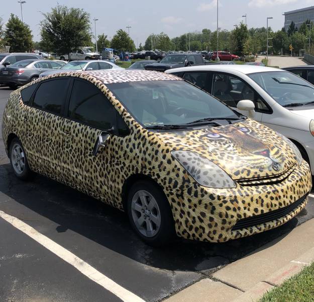 morning picdump 53 pics 6.html - 53 HD Photos | Premium Gallery 2018