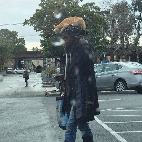 daily picdump 84 pics 38.html - 84 HD Photos | Premium Gallery 2018