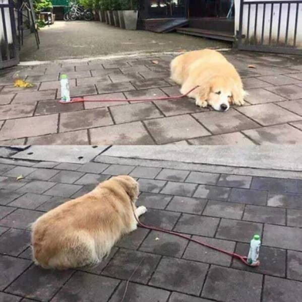 daily picdump 84 pics 38.html - 84 HD Photos | Premium Gallery 2018