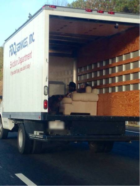 daily picdump 84 pics 38.html - 84 HD Photos | Premium Gallery 2018